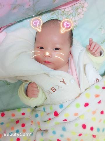 journal_insert_pic_1143162802