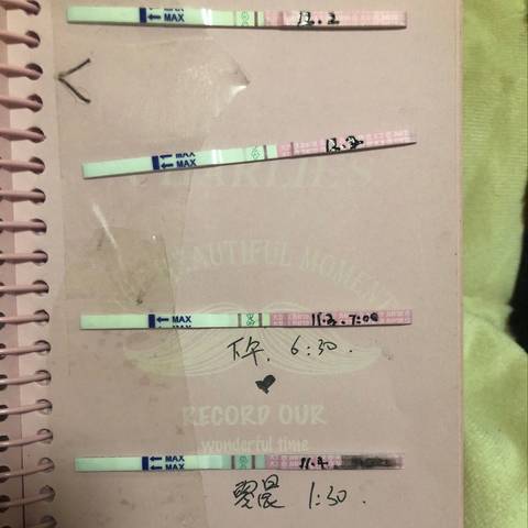 journal_insert_pic_1142960110
