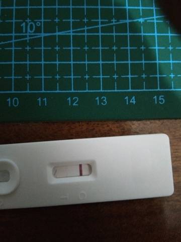 journal_insert_pic_1143754030