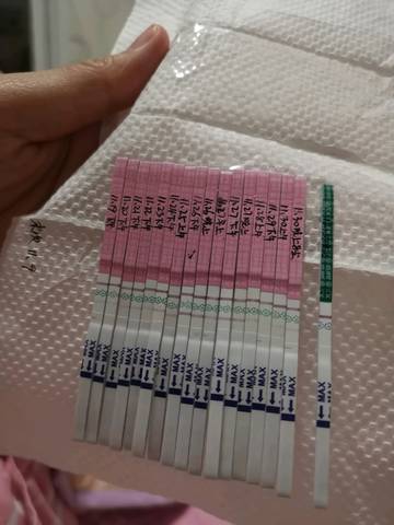 journal_insert_pic_1143873766