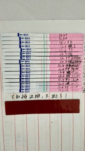 journal_insert_pic_1144417086