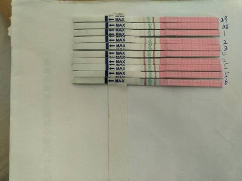 journal_insert_pic_1144255959