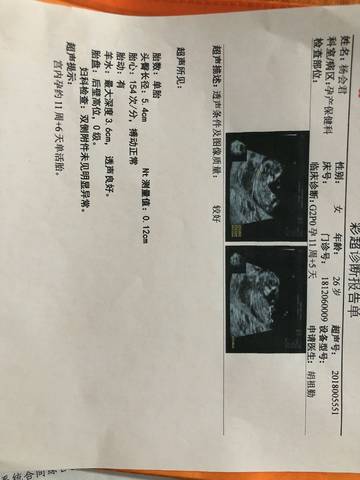 journal_insert_pic_1144214975