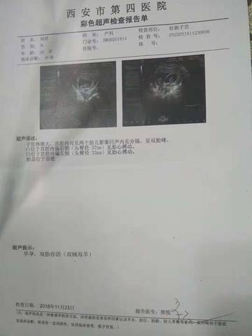 journal_insert_pic_1144860819