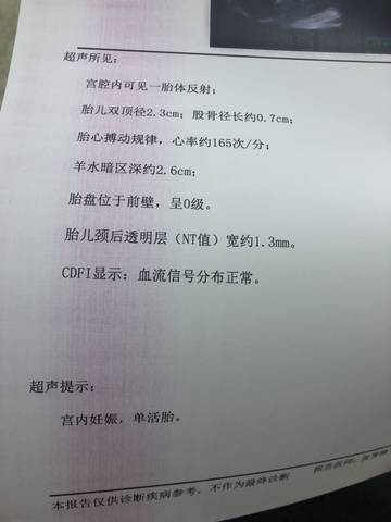 journal_insert_pic_1145315843
