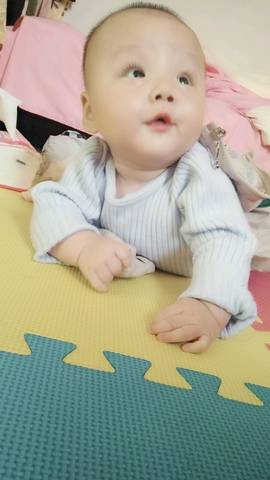 journal_insert_pic_1145576365