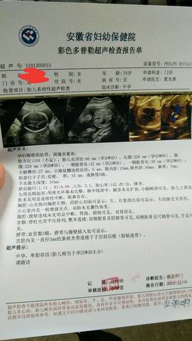 journal_insert_pic_1145424137
