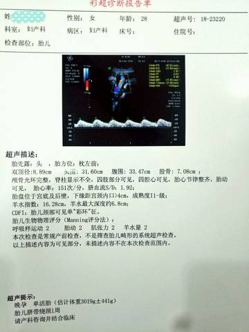 journal_insert_pic_1145239804