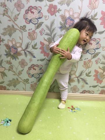 journal_insert_pic_1145444792