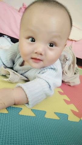 journal_insert_pic_1145576425