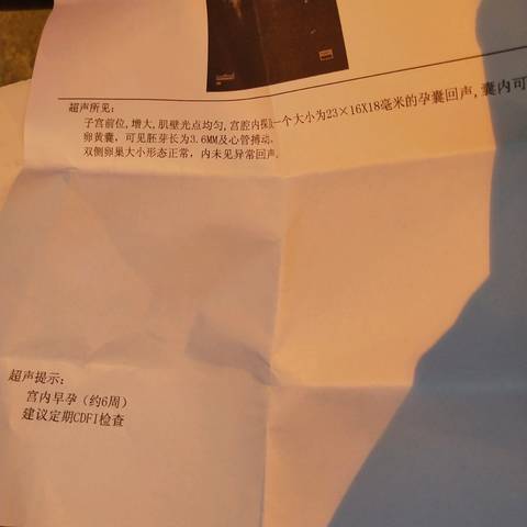 journal_insert_pic_1146882023