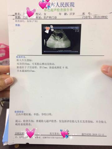 journal_insert_pic_1146703483