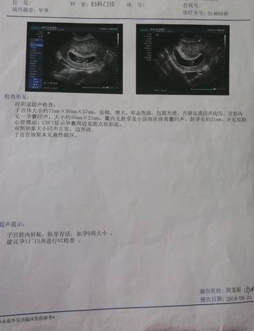 journal_insert_pic_1146981083