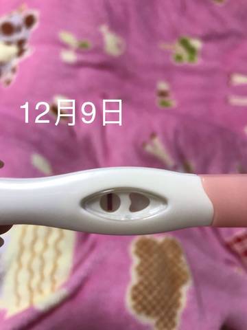 journal_insert_pic_1147098513