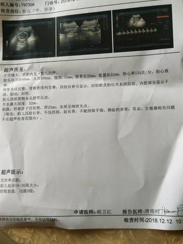 journal_insert_pic_1147303931