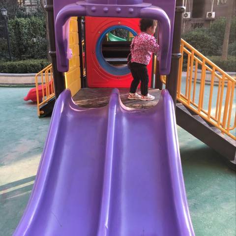 journal_insert_pic_1147237304