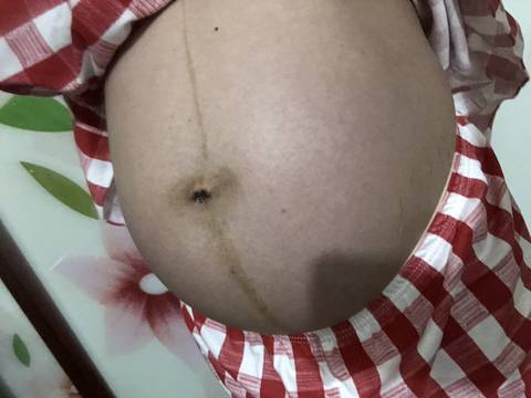 journal_insert_pic_1147463874