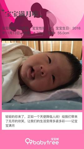 journal_insert_pic_1148127818