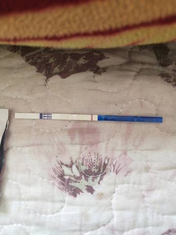 journal_insert_pic_1148087461