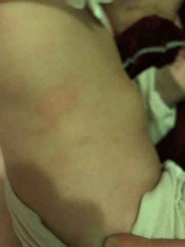 journal_insert_pic_1148728843