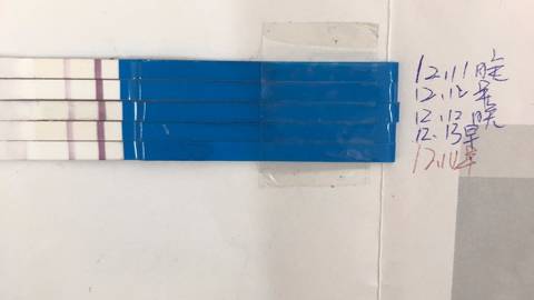 journal_insert_pic_1148611551