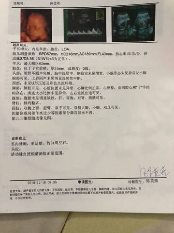 journal_insert_pic_1150286398