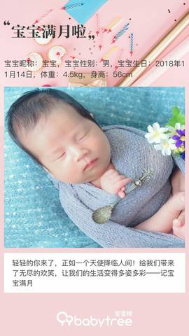 journal_insert_pic_1150349859