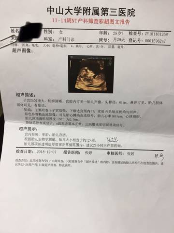 journal_insert_pic_1150129217