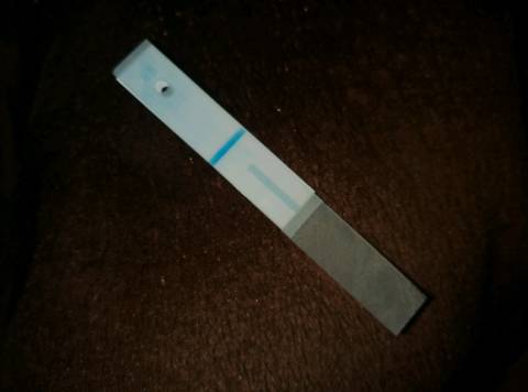 journal_insert_pic_1150599452