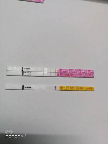 journal_insert_pic_1151029286