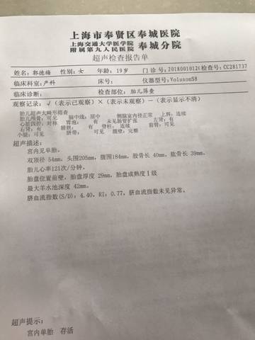 journal_insert_pic_1150892320