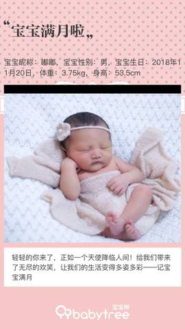 journal_insert_pic_1151307237