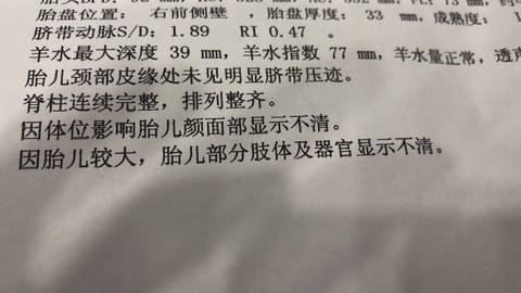 journal_insert_pic_1152398215