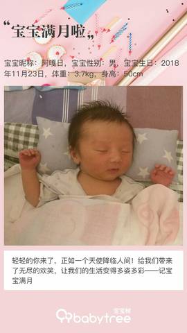 journal_insert_pic_1152277232