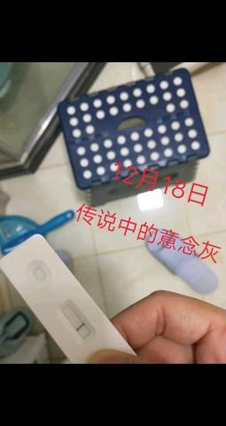 journal_insert_pic_1152774556