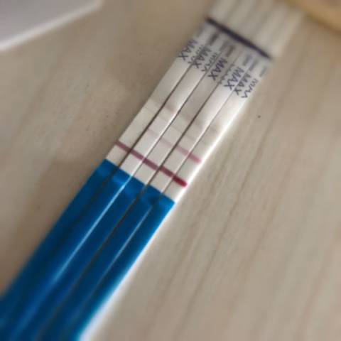 journal_insert_pic_1152854908