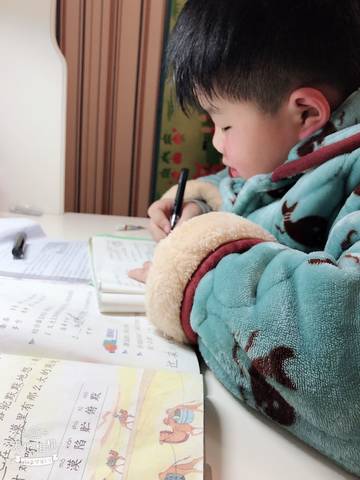 journal_insert_pic_1152723111