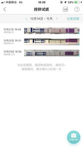journal_insert_pic_1153073455