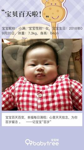 journal_insert_pic_1152938953