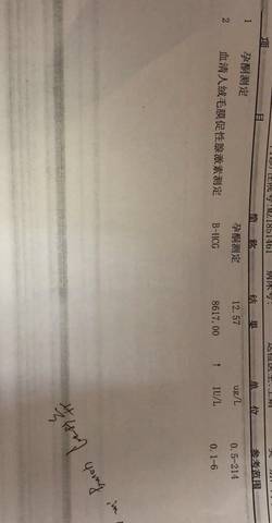 journal_insert_pic_1155079001