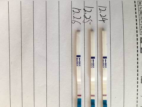 journal_insert_pic_1154687700