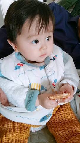 journal_insert_pic_1155155288