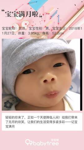 journal_insert_pic_1155407717