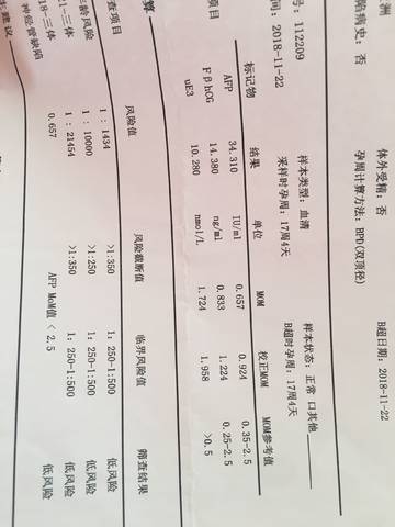 journal_insert_pic_1155458434