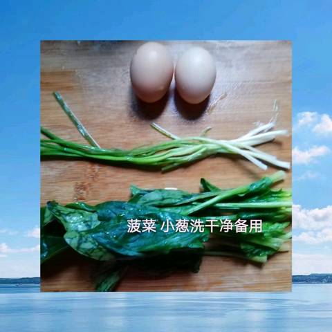 journal_insert_pic_1155805420