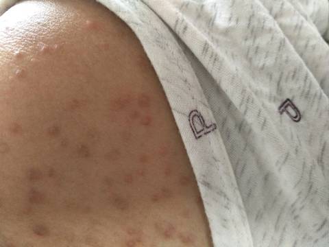 journal_insert_pic_1155847139