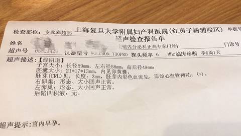 journal_insert_pic_1156172855