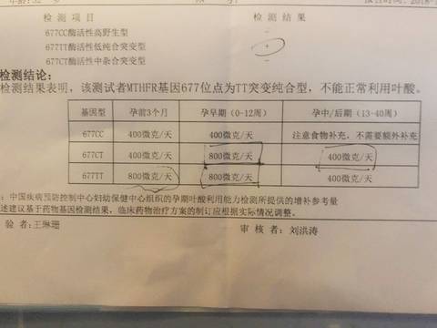 journal_insert_pic_1156600371