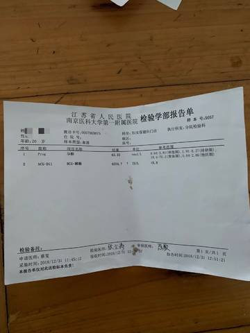 journal_insert_pic_1157545572