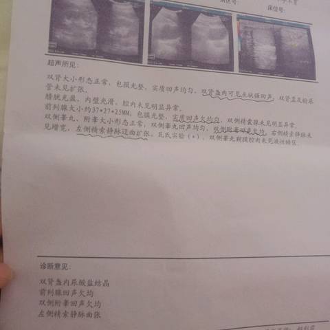 journal_insert_pic_1157478212